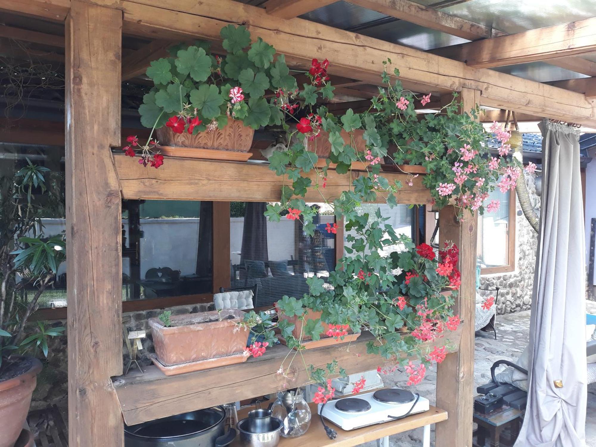 Rose Room 40M2 With Terrace 25M2 In Greeny Area For 4 Person Ljubljana Dış mekan fotoğraf