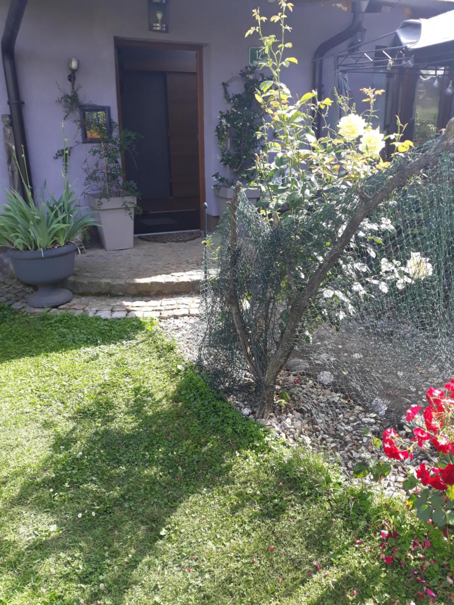 Rose Room 40M2 With Terrace 25M2 In Greeny Area For 4 Person Ljubljana Dış mekan fotoğraf
