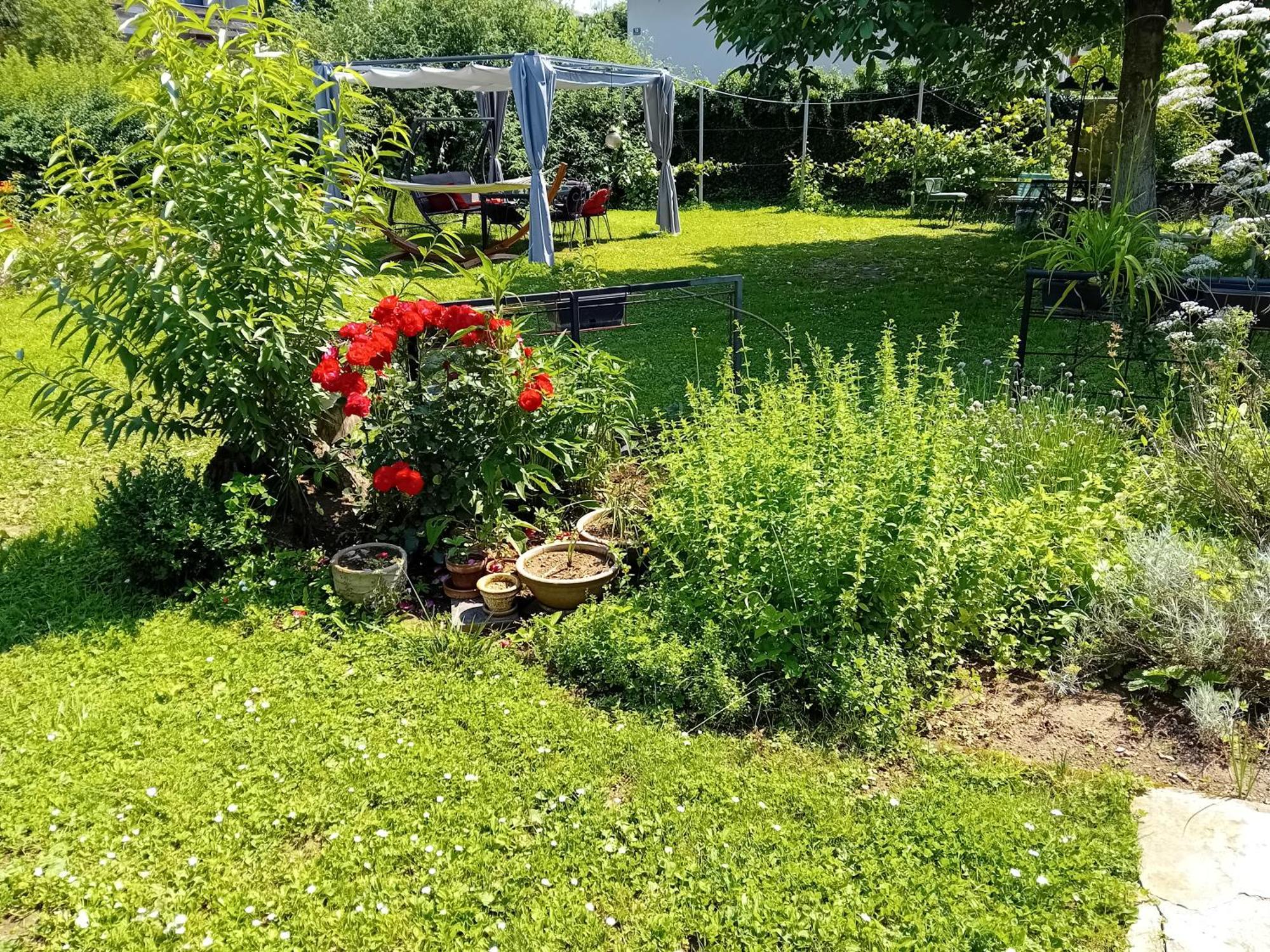 Rose Room 40M2 With Terrace 25M2 In Greeny Area For 4 Person Ljubljana Dış mekan fotoğraf