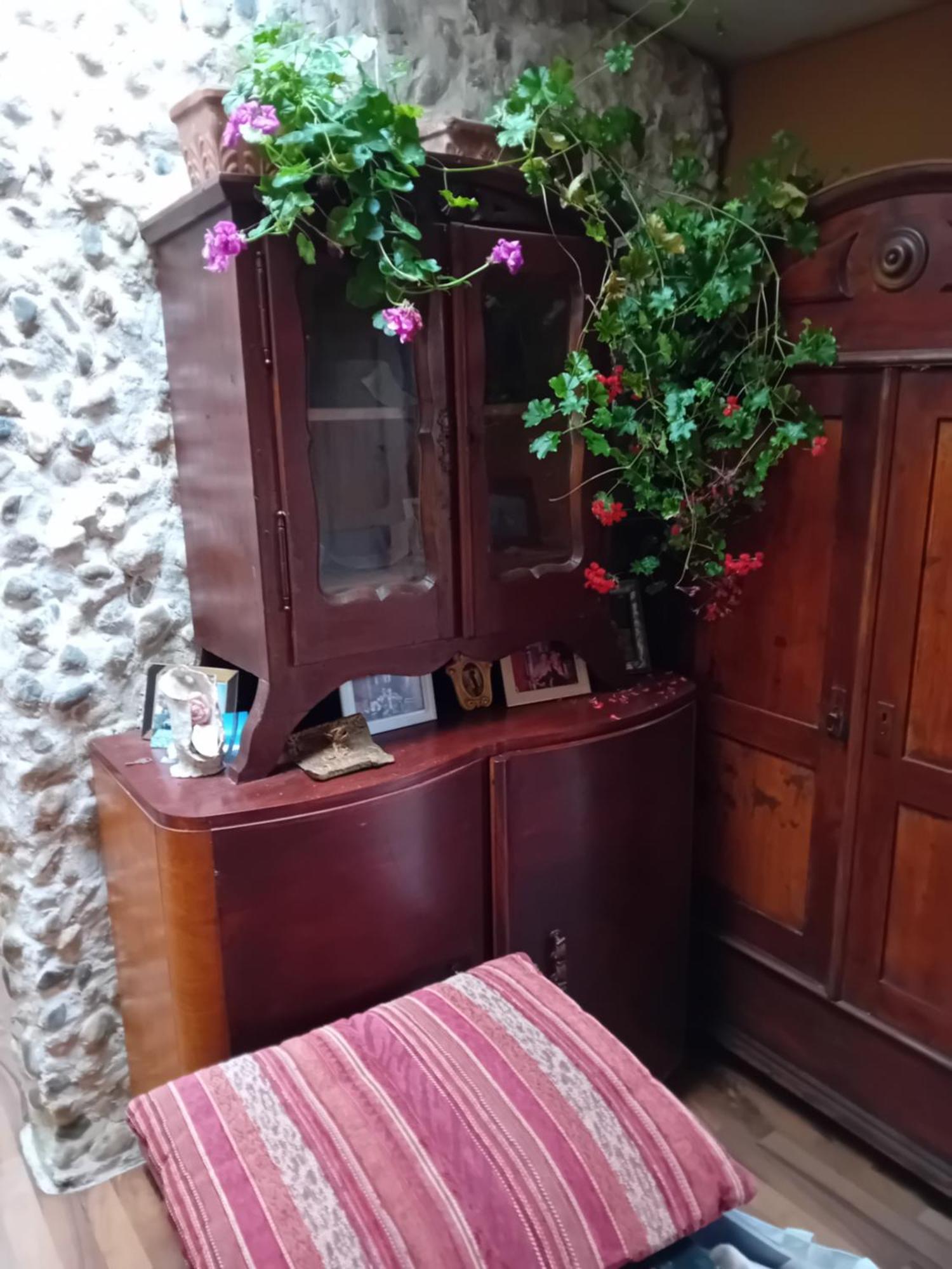 Rose Room 40M2 With Terrace 25M2 In Greeny Area For 4 Person Ljubljana Dış mekan fotoğraf