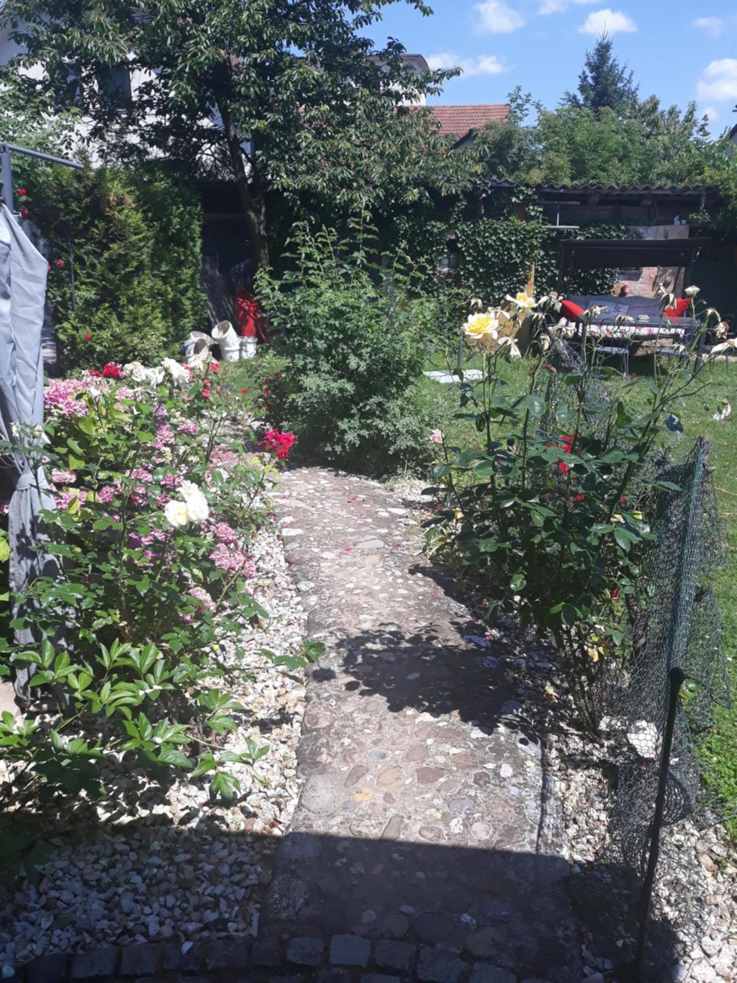 Rose Room 40M2 With Terrace 25M2 In Greeny Area For 4 Person Ljubljana Dış mekan fotoğraf