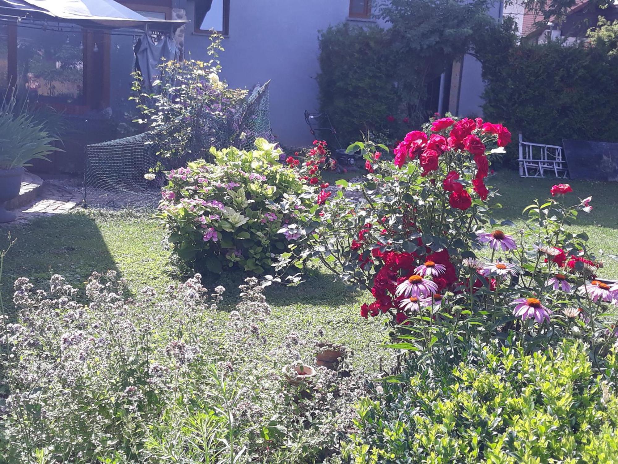 Rose Room 40M2 With Terrace 25M2 In Greeny Area For 4 Person Ljubljana Dış mekan fotoğraf